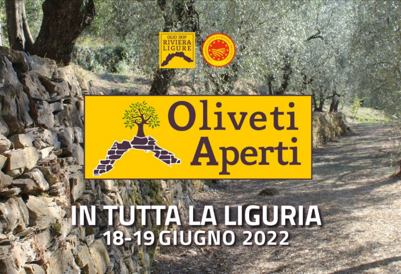 Torna Oliveti Aperti in Liguria